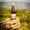 vins des Cévennes Rosé domaine de brunet