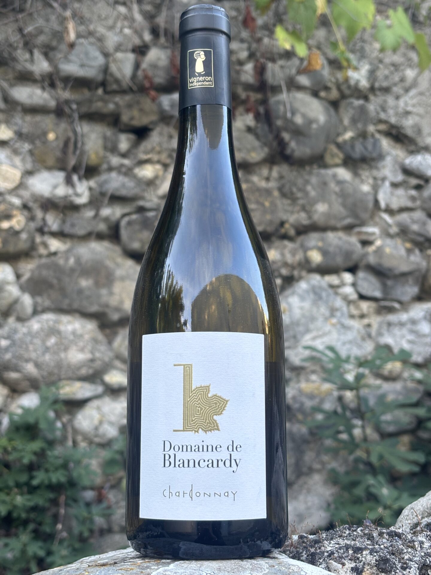 chardonnay blanc- domaine de blancardy