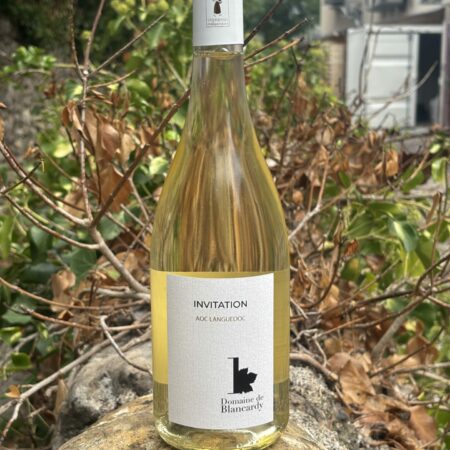 invitation blanc - domaine de blancardy