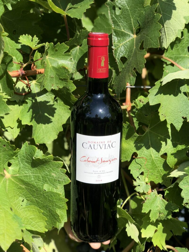 vins des Cévennes cabernet-sauvignon-domaine-de-cauviac