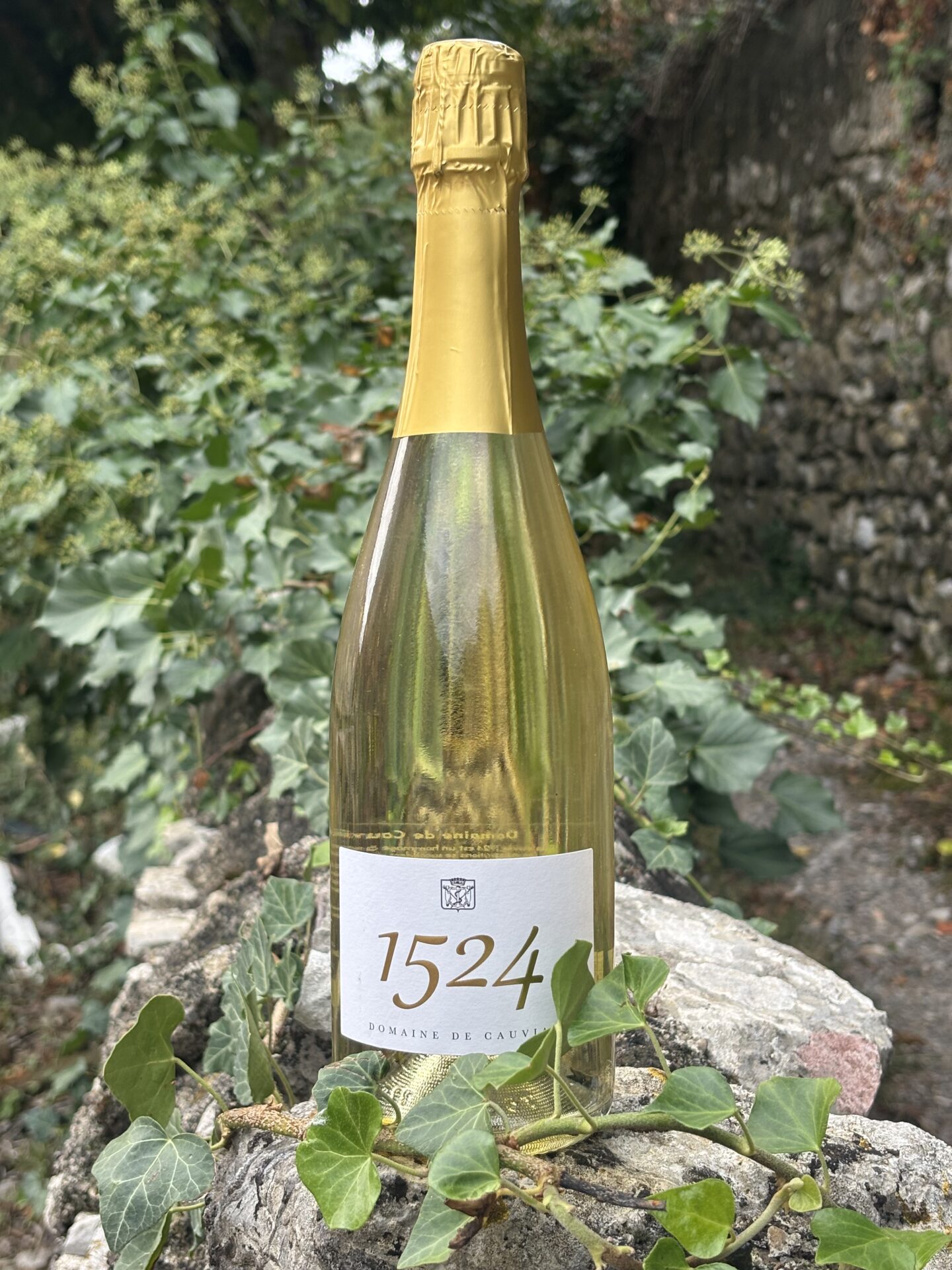 blanc mousseux 1524 - domaine de cauviac