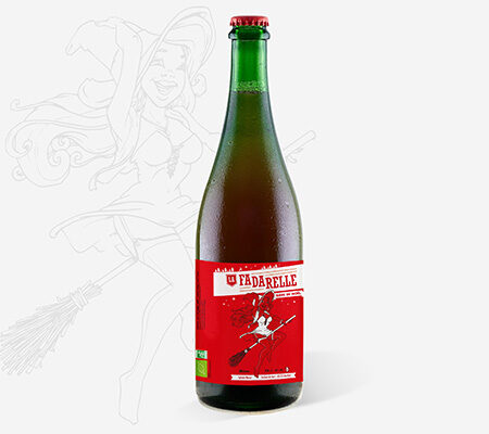 BIERE DE NOEL BIO 75CL